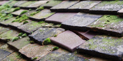 Cwm Miles roof repair costs